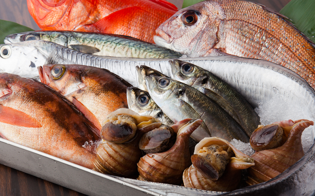 旬魚料理(本日のおすすめ)